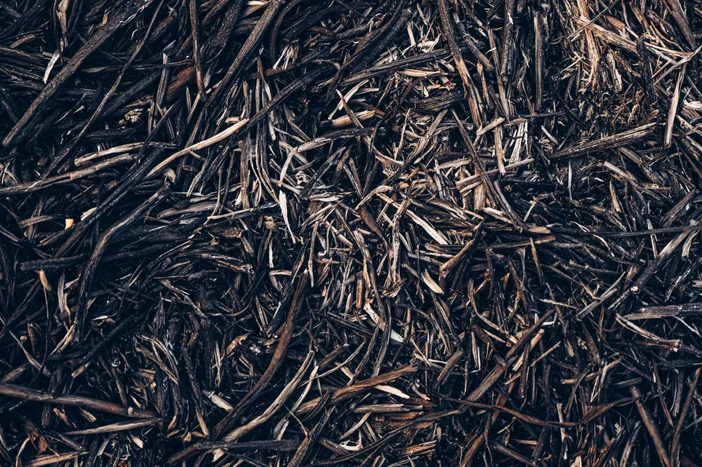 Broyat de branches plus grossier prêt à pailler les massifs