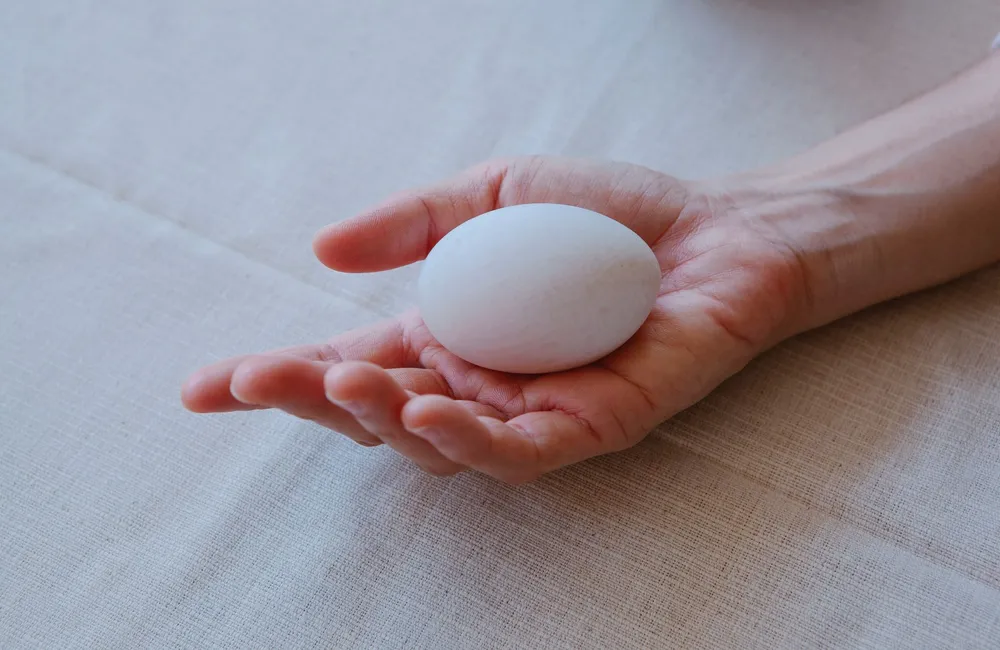 Main tenant un œuf frais de poule au-dessus d'une nappe