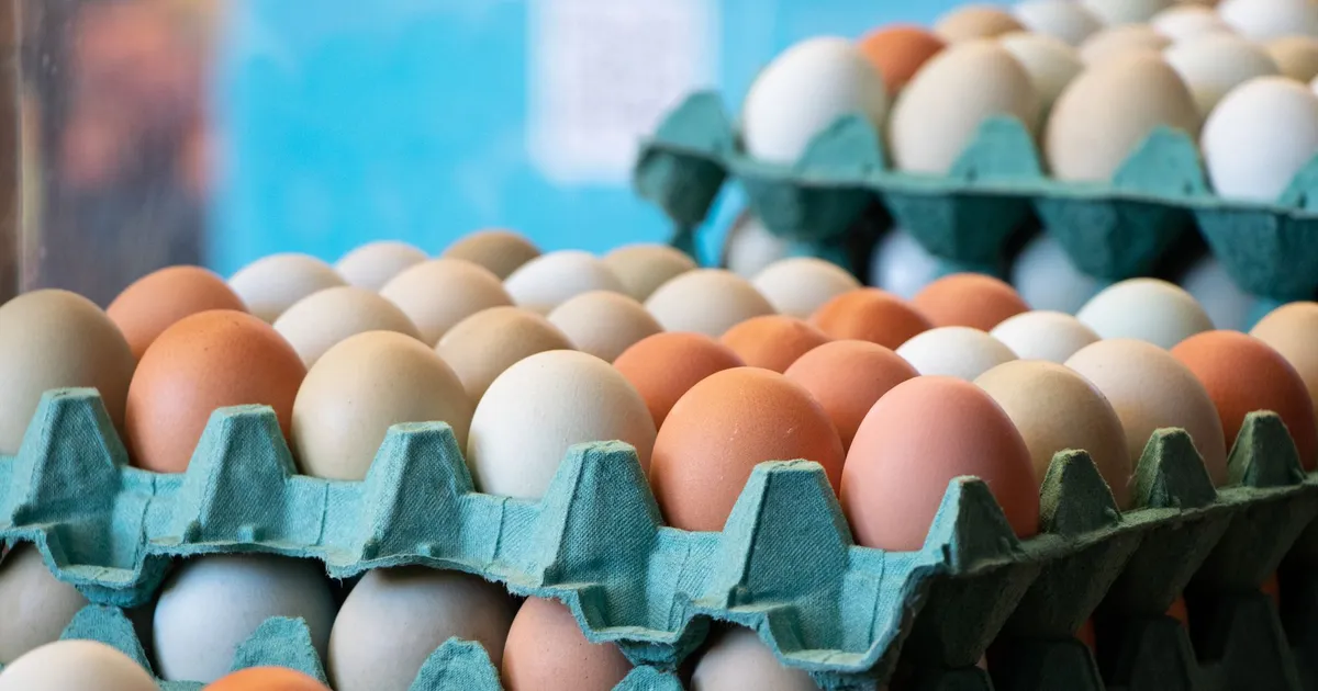 Œufs frais de poule rangés dans un bol en bois pour conservation
