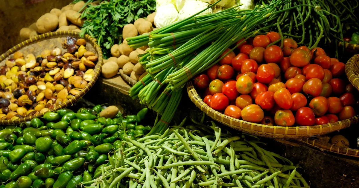 Légumes variés du potager : racines, feuilles, fruits et fleurs
