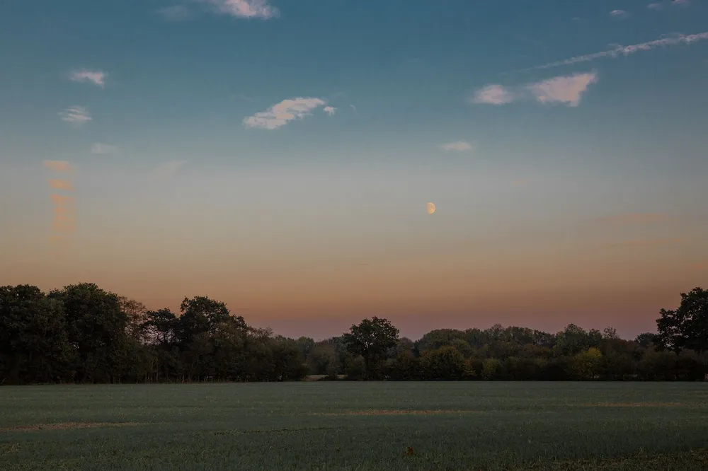 Lune au-dessus d'un potager à la tombée de la nuit